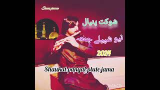 SHauKAT PAnYAL NeW PLuTe JAmA  Saaz jama NeW GHarBInA JAMA 2024 SHAUKAT PANYAL jamA [upl. by Ibloc618]