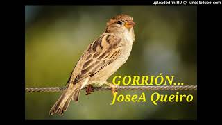 GORRIÓN JoseA Queiro [upl. by Leuamme]