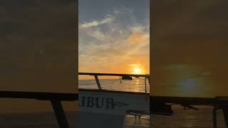 Excalibur sport fishing fishing bluefintuna yellowfin sunset mexico tunafishing sportfishing [upl. by Liman712]