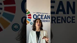 What is BlueCarbon  Part 2 Martha Rojas Urrego former Secretary General at Ramsar [upl. by Ikkiv]