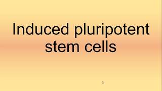 Induced Pluripotent Stem Cells Pronunciation  How to Say  How to Pronounce [upl. by Tnomel967]