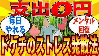 【2ch有益スレ】支出０円のドケチがやるストレス発散方法教えてｗｗｗ【ゆっくり解説】 [upl. by Kcitrap]