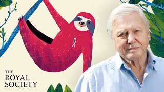 Why is biodiversity important  with Sir David Attenborough  The Royal Society [upl. by Dorena]