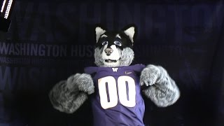 Washingtons Harry the Husky takes the Mascot Challenge [upl. by Aidnis782]