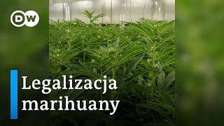 Legalizacja marihuany w Niemczech [upl. by Lokin761]