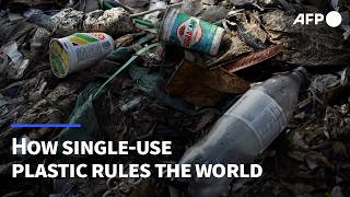 How singleuse plastic still rules the world  AFP [upl. by Atinod929]