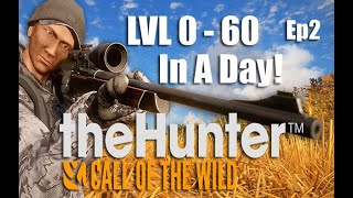 Beginners Guide Series  Ep2  theHunter Call Of The Wild [upl. by Varien]