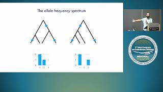 July 29th  Recombination rate variation causes consequences and evolution pt1 [upl. by Esirahc432]