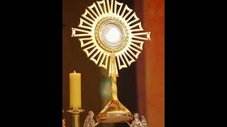 ⚜️Tantum Ergo Sacramentum✨✝️SONG shorts christian catholic eucharist [upl. by Nwahsear]