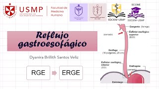 Medicina 1  Sesión 8A  RGE  ERGE  Dyanira Santos  2024  2 [upl. by Whiney]