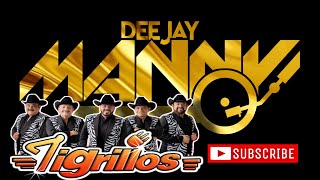 LOS TIGRILLOS  LA ETICA  DJ MANNY TV 2024 [upl. by Haissi]