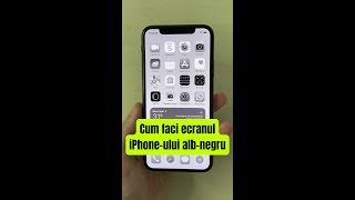 Cum faci ecranul iPhoneului albnegru  shorts [upl. by Judon]