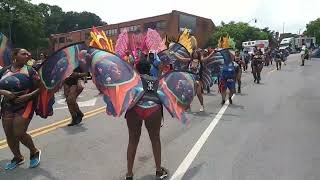 Its Carnival BDC highlights [upl. by Hylton346]