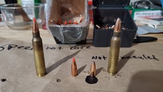 223556 Speer 50 Grain Varmint Soft Point Accuracy and Ballistic Performance Testing [upl. by Udenihc23]