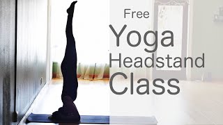 50 Minute Yoga Flow Vinyasa How to do a headstand  Fightmaster Yoga Videos [upl. by Annawot717]