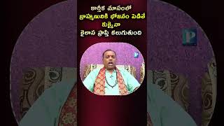 కార్తీక మాసంలో బ్రాహ్మణునికి భోజనం పెడితే కుక్కైనా కైలాస ప్రాప్తి కలుగుతుంది [upl. by Halle]