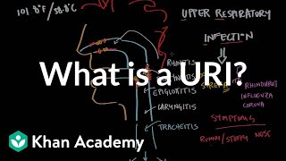 What is an upper respiratory infection URI  NCLEXRN  Khan Academy [upl. by Bekki]