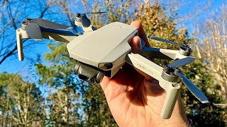 DJI Mavic Mini One Year Drone Review  Everything You Need to Know [upl. by Burford]