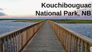 Kouchibouguac National Park  River Trail  The Bog  Kellys Beach  Fresh Lobster [upl. by Myrwyn]