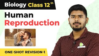 Class 12 Biology Chapter 3  Human Reproduction  One Shot Full Chapter Revision 202223 [upl. by Niltak]