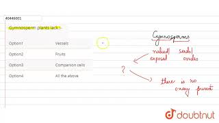 Gymnosperm plants lack [upl. by Halli534]
