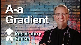 Respiratory Therapy PAO2PaO2 Aa Gradient AaDO2 [upl. by Htebazle]