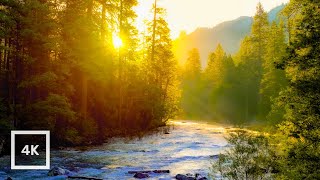 Golden Sunrise on Merced River Yosemite  4K Relaxing Nature Scene  Relaxing River Sounds  6 Hour [upl. by Quiteri]