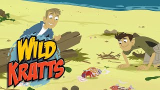 Wild Kratts  Natures Wonders  Kids Videos [upl. by Eiresed]