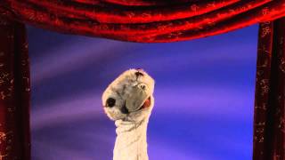 Folkmanis® Ostrich Stage Puppet Demo [upl. by Adnahsar]