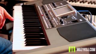 Korg PA 900 3 Style [upl. by Wes]