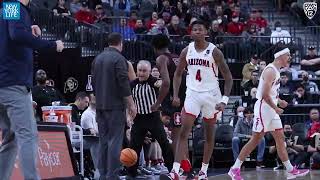 2022 NBA Draft Reel Arizonas Dalen Terry [upl. by Aihseya]