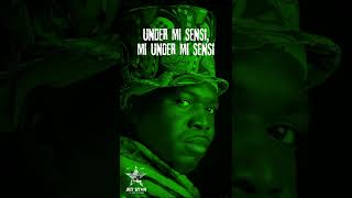 Barrington Levy  Under Mi Sensi [upl. by Colette862]