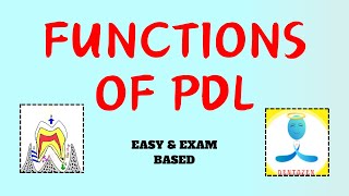 Functions of Periodontal Ligament  Functions of pdl [upl. by Lavona]