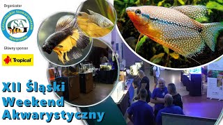 Dawno tego nie bylo OO wystawa akwarystyczna aquarium wysatwa aquascape [upl. by Gravante]