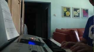 Me playing quotThe Shirequot theme on organ [upl. by Nelon]