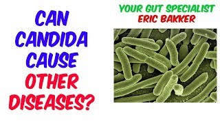 Does Candida Cause Disease Or Vice Versa [upl. by Musser]