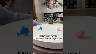 Our next baby’s gender reveal… mikeyandmia genderreveal itsagirl itsaboy blue pink [upl. by Kylen386]