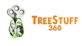 Notch Rook  TreeStuffcom 360 View [upl. by Notsirk765]