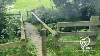 Love the outdoors in Charnwood  Wymeswold Meadows Wymeswold [upl. by Noryak202]