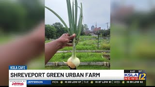 Shreveport Green Urban Farm looking for volunteers [upl. by Akeyla]