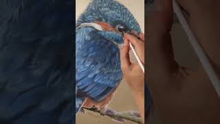 Final touches of kingfisher hyperrealisticart silkpainting painting hyperrealism art wildlife [upl. by Dillie]