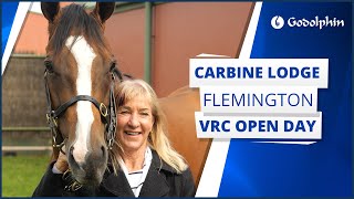 🇦🇺 Godolphin Carbine Lodge  Flemington VRC Open Day 2024 [upl. by Annawit854]