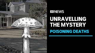 Leongatha deaths Investigators await toxicology report over suspected mushroom poisoning  ABC News [upl. by Inaleon]