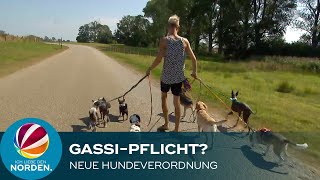 Neue Hundeverordnung Kommt jetzt die GassiPflicht [upl. by Acirred272]