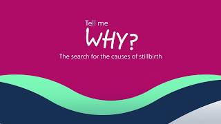 Finding the reasons for stillbirth  Tommys research [upl. by Malloy]