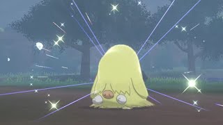 Shiny Piloswine in Pokemon Shield 624 Resets w Charm [upl. by Epuladaugairam]