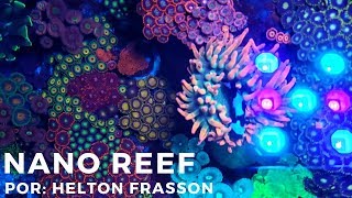 Nano Reef  Por Helton Frasson  Aquário marinho [upl. by Kcirdneked]