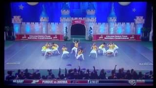 UDA College Dance Team National Championship Hip Hop 2014 LSU Tiger Girls [upl. by Surtemed107]