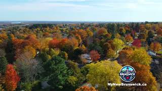 Fredericton Fall Colours [upl. by Ataliah655]