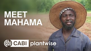 Meet Mahama a Ghanaian farmer [upl. by Annala378]